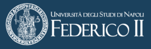 University of Naples Federico II
